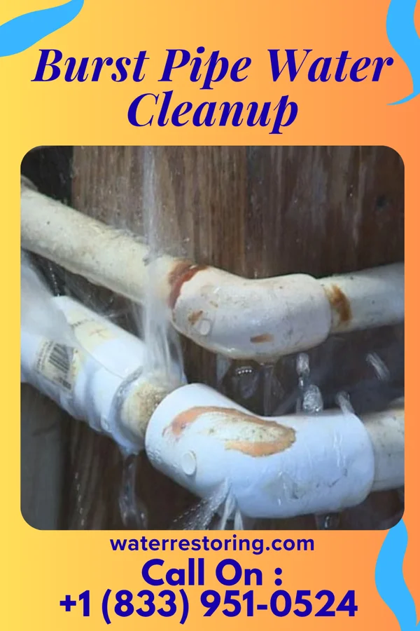 Burst Pipe Water Cleanup in South Bound Brook, NJ