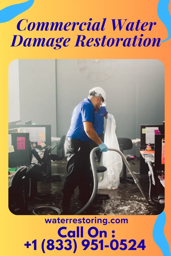 Commercial Water Damage Restoration in South Bound Brook, NJ