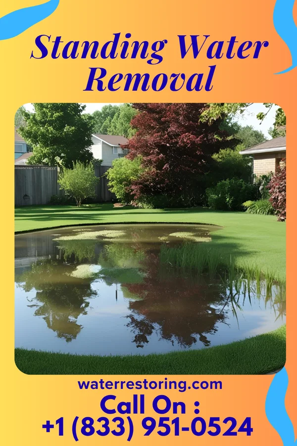 Standing Water Removal in South Bound Brook, NJ